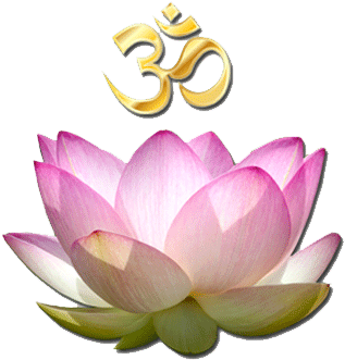 Om Lotus - Lotus (320x385), Png Download