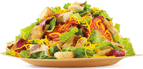 Burger King Garden Salad (500x540), Png Download