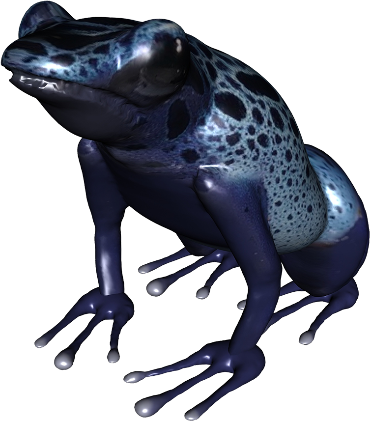 Clip Royalty Free Stock Clip Art Underside Of Png Blue - Poison Dart Frog Png (945x945), Png Download