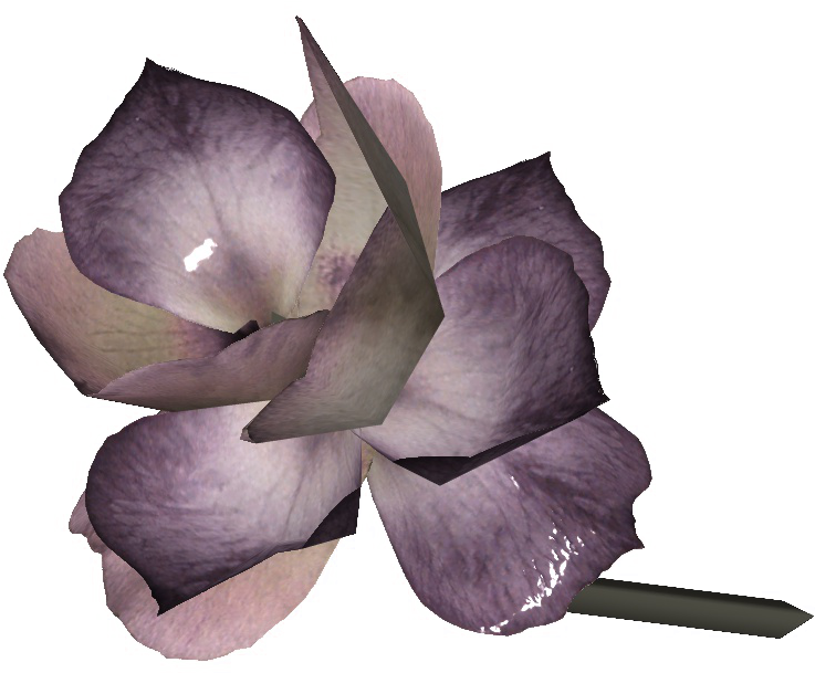 Mutated Fern Flower - Fallout Hubflower (965x705), Png Download