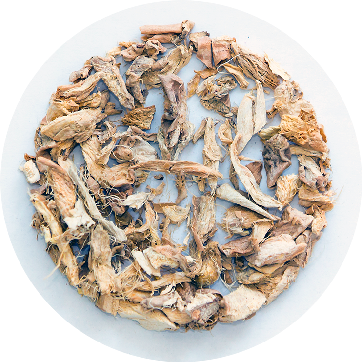 Ginger (800x800), Png Download