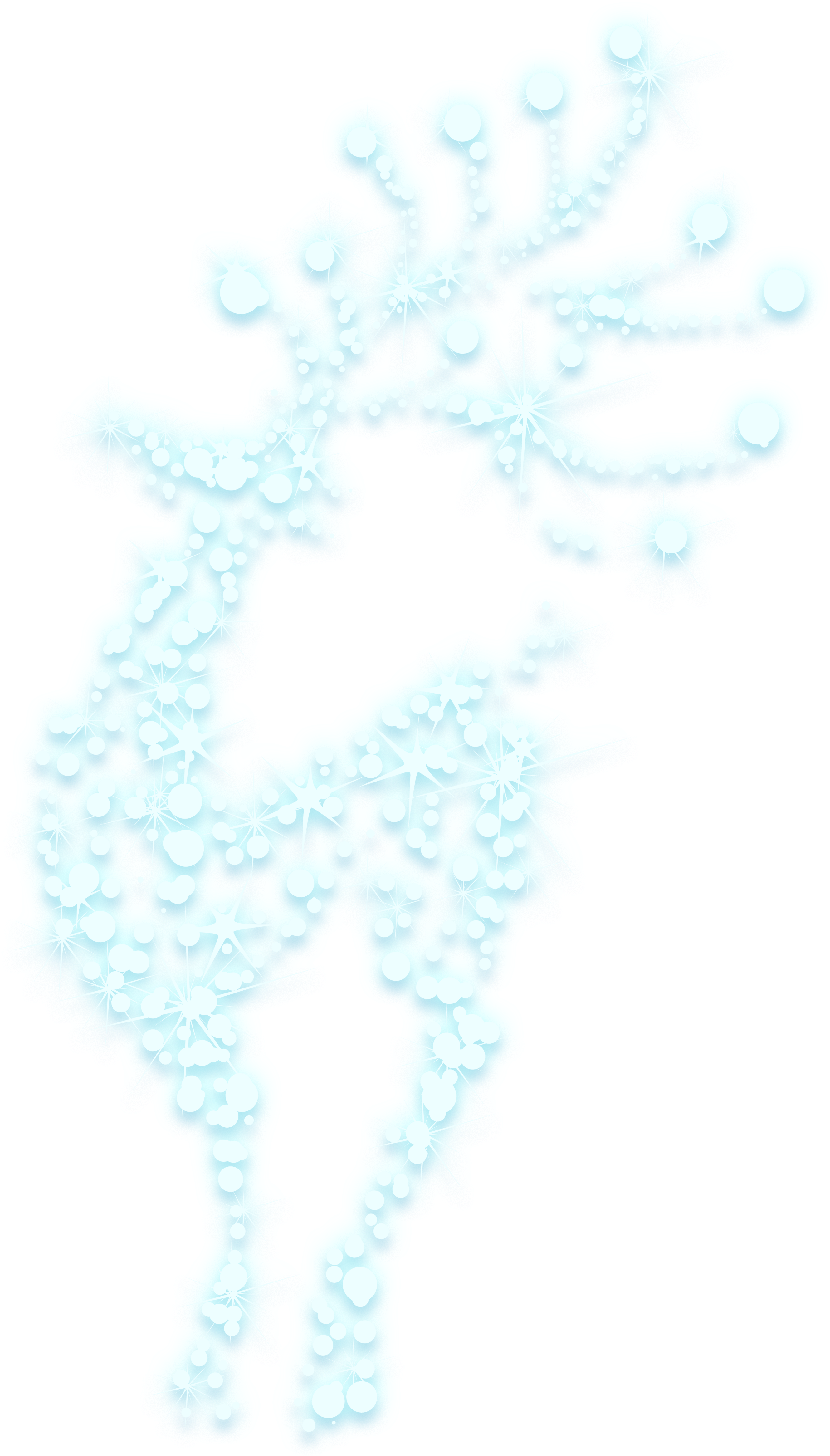 Reindeer Png (2801x4909), Png Download