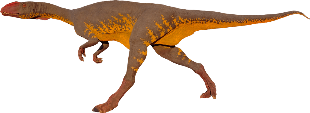 Dilophosaur - Pinterest (1040x375), Png Download