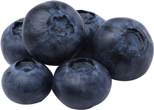 Blueberry - - I.g International Pvt Ltd (600x550), Png Download