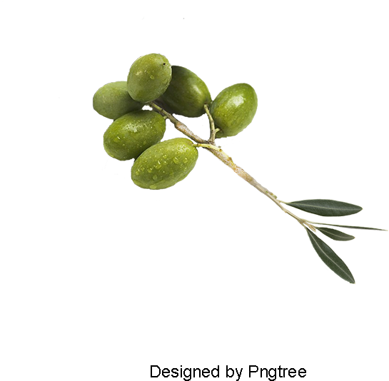 Green Olives, Olive Oil, Olives, Creative Olive Oil - Olive (800x800), Png Download