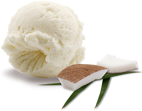 [sorbet] Fanny Coconut 650ml - Coconut Ice Cream Png (500x500), Png Download