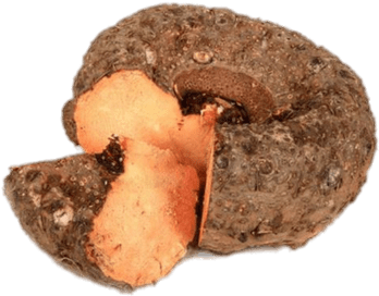 Vegetables - Elephant Yam (500x275), Png Download