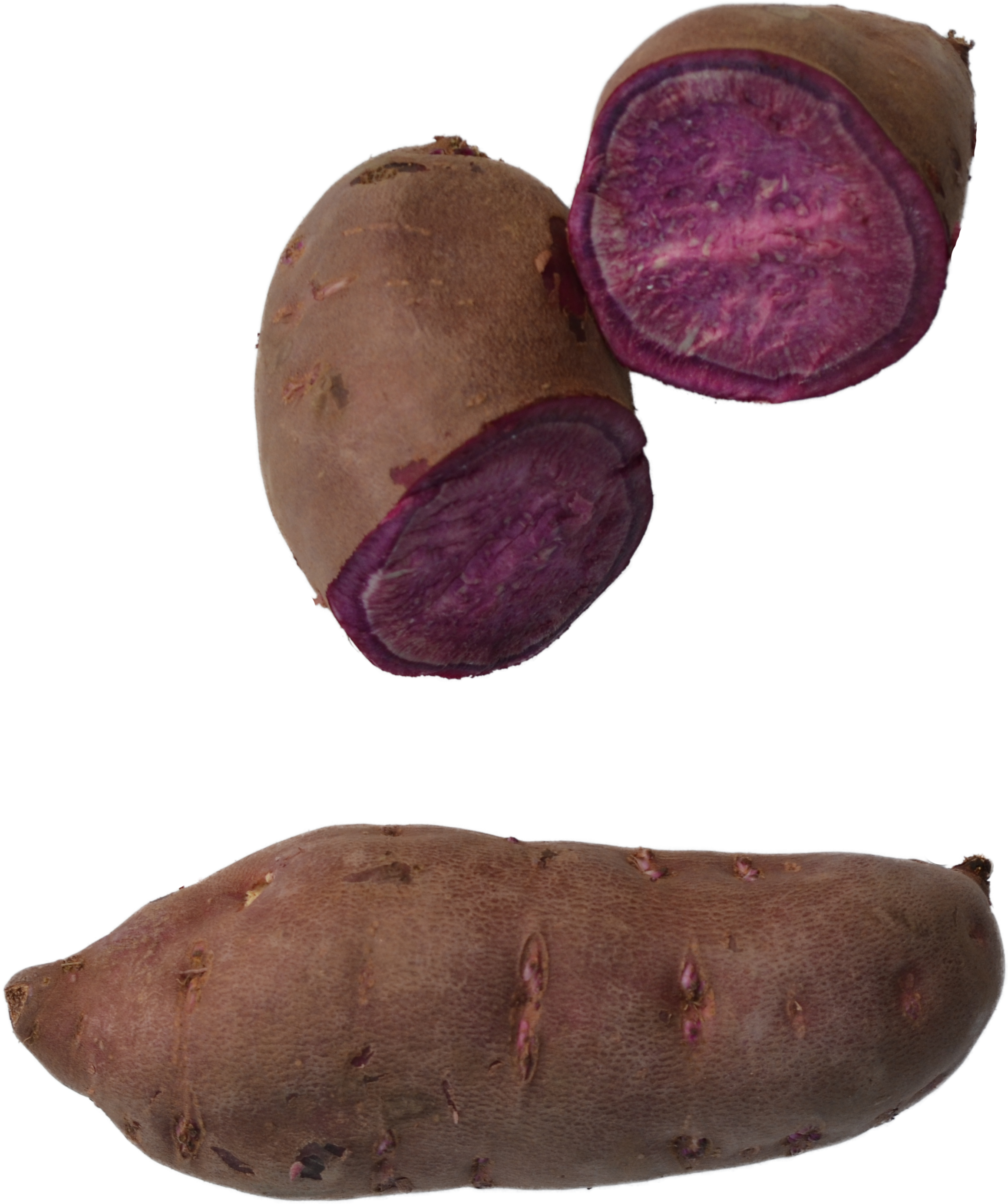 Purple-charleston - Sweet Potato Purple Png (2442x2901), Png Download