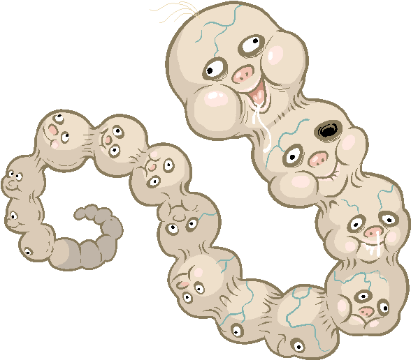 Worm-babies - Cartoon (595x532), Png Download