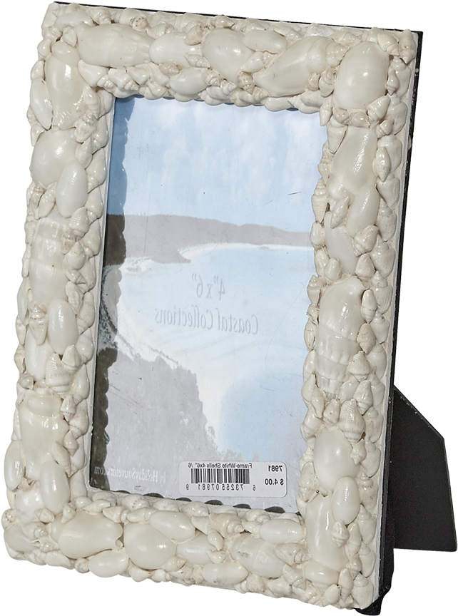 White Shells Photo Frame 4x6" Glass Pane - White Shells Seashells Photo Frame 4x6" Glass Pane (904x1100), Png Download