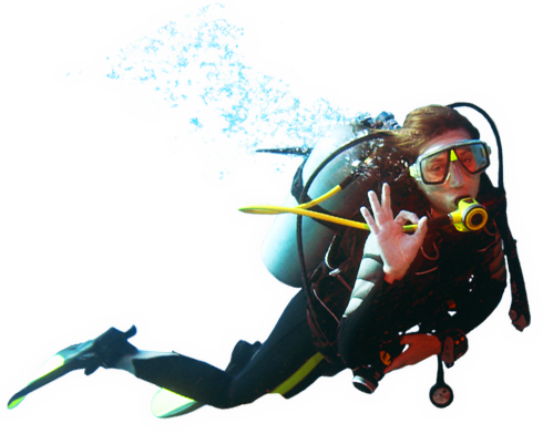 Diver Png - Scuba Diving (490x392), Png Download