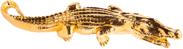 Golden Crocodile - Gold (800x775), Png Download