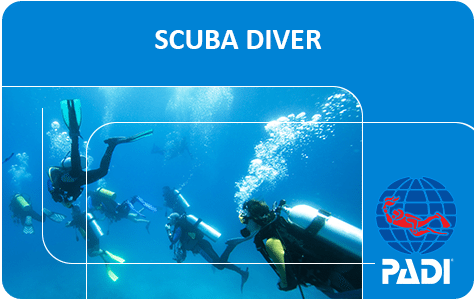 Air Fare, If Any - Padi Open Water Diver Card (498x340), Png Download