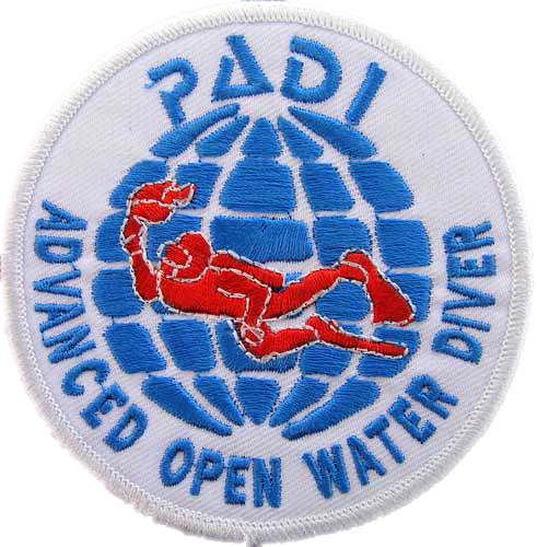 Advanced Diver 515d9c0393924 - Padi Instructor (491x500), Png Download