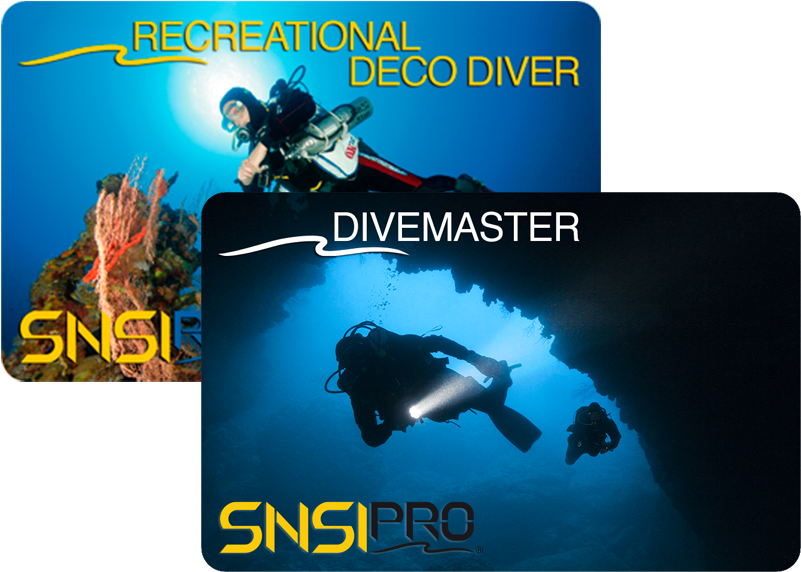 You Can Advance Your Training And Become Qualified - Divemaster (800x600), Png Download