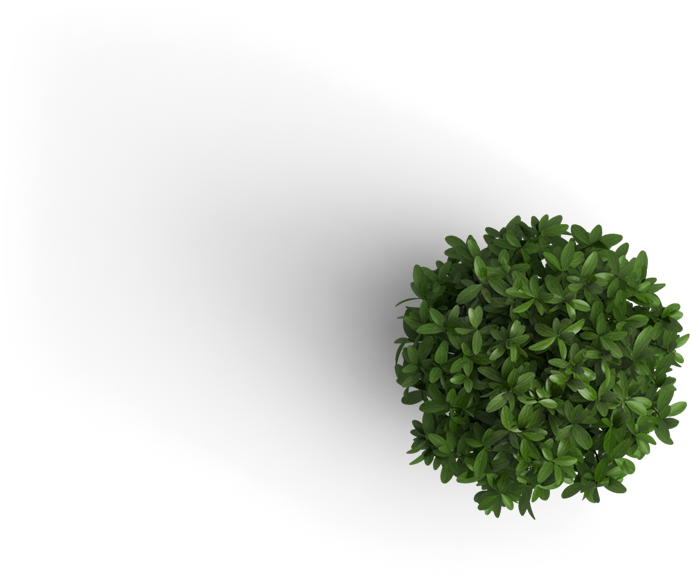 Already Have An Account Log In - Plant Top View Png (700x600), Png Download