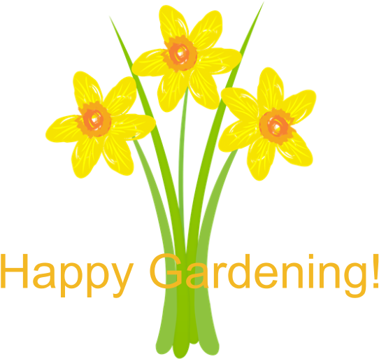 Watercolor Daffodils Gardener 5'x7'area Rug - Birthday (700x700), Png Download