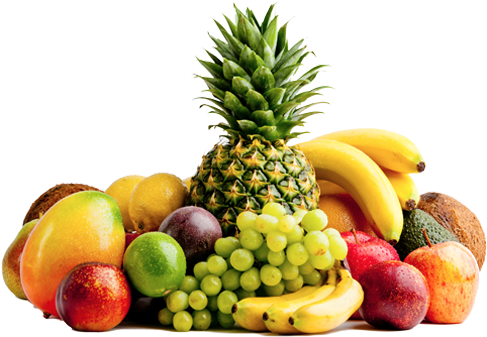 Con El Fin De Proveer A Los Clientes Más Exigentes, - Any Three Types Of Food Groups (1101x369), Png Download