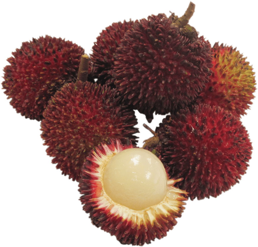 Frutas - Durian Rambutans (1024x932), Png Download