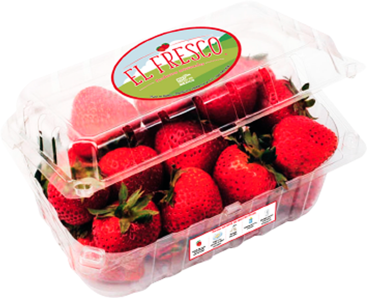 Carne Seca Artesanal - Polyethylene (770x620), Png Download