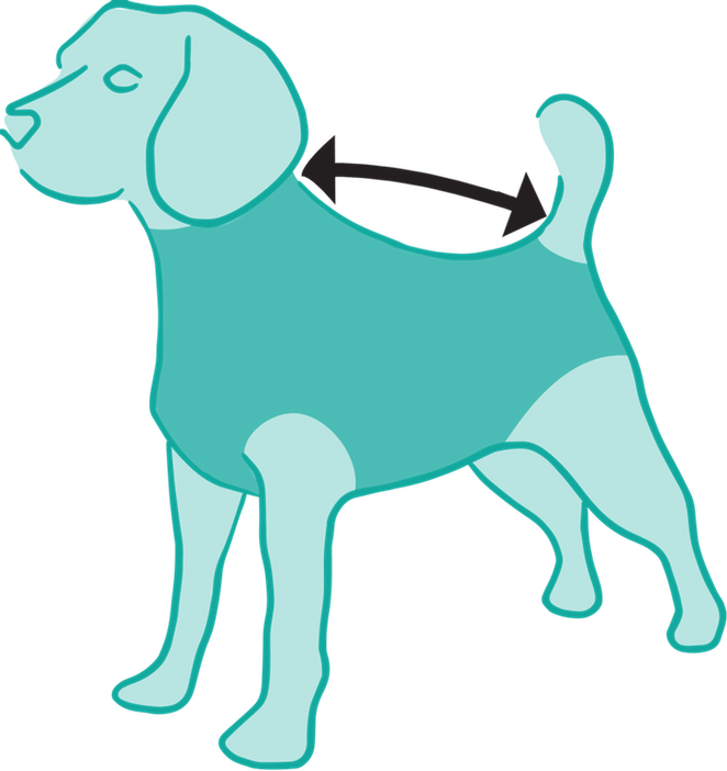 Size Measured From Collar To Base Of The Tail - Cartoon Dog Recovering From Surgery (662x702), Png Download