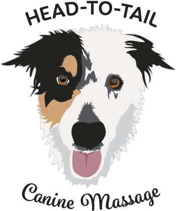 Head To Tail Clinical Canine Massage - Companion Dog (363x445), Png Download