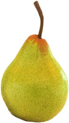 Santos Lda - Frutas Png Pera (480x400), Png Download