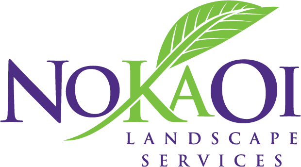 No Ka Oi Landscape Services Logo - International Magic Tenors (620x344), Png Download