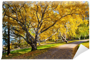 Peaceful Park With Autumn Colors In Trees Wall Mural (400x400), Png Download