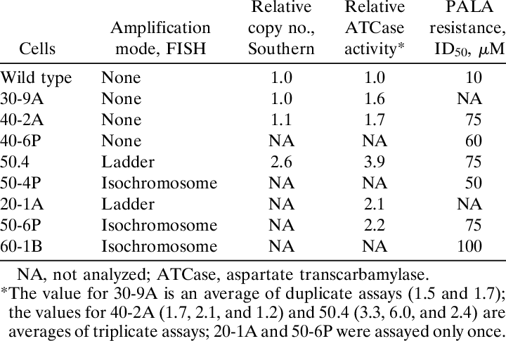 Cad Copy Number, Specific Aspartate Transcarbamylase (720x485), Png Download