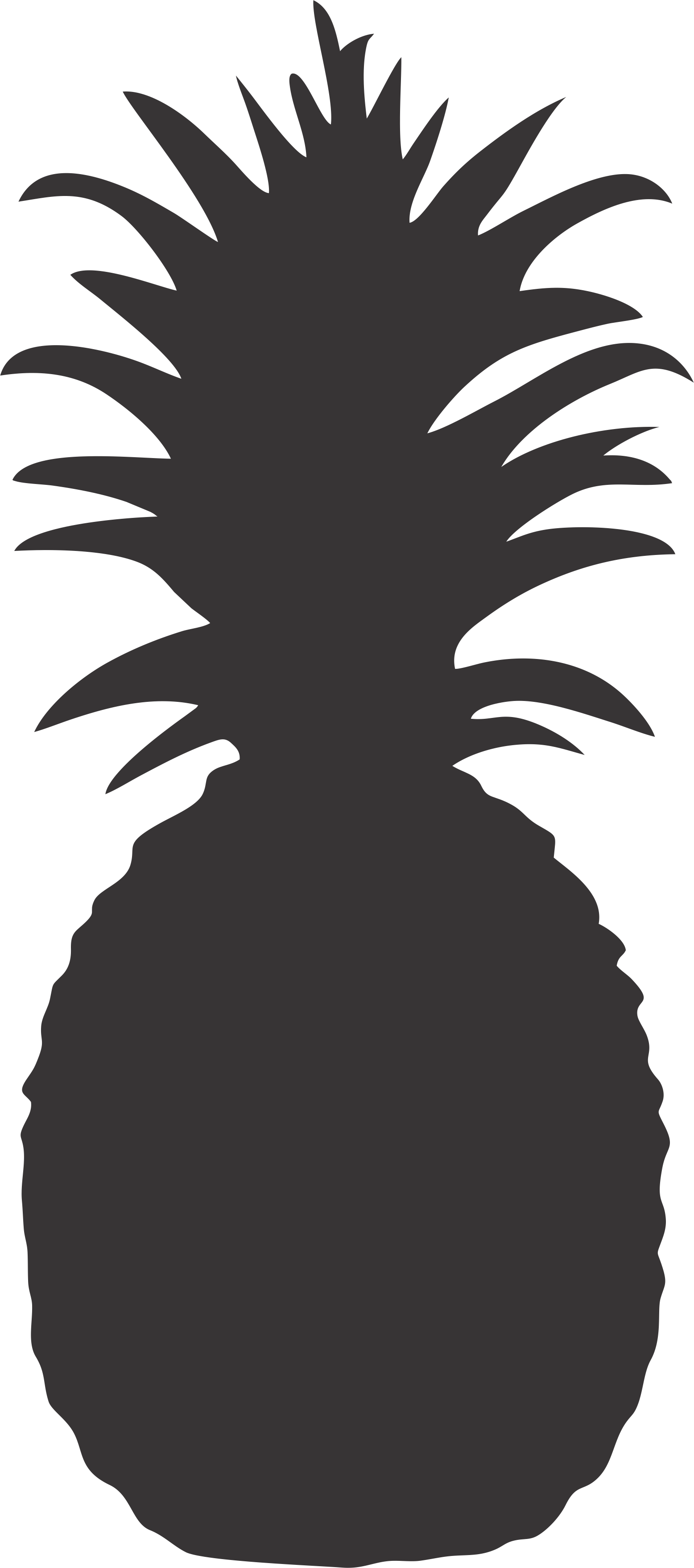 Espelho Abacaxi - Pineapple Silhouette Vector (1556x3512), Png Download