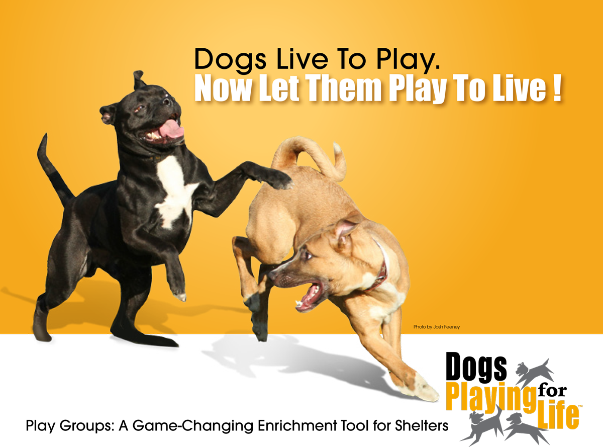 Brochure (1200x889), Png Download