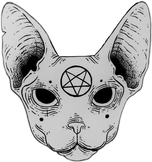 Cat (526x559), Png Download