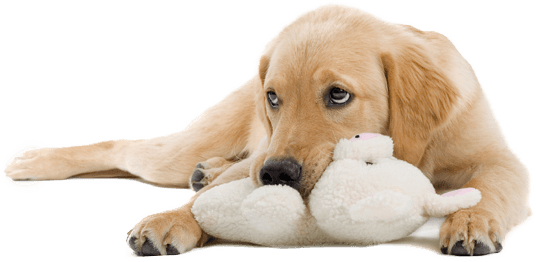 Know Your Nutrition - Sam & Friends: A Collection Of Recollections (536x262), Png Download