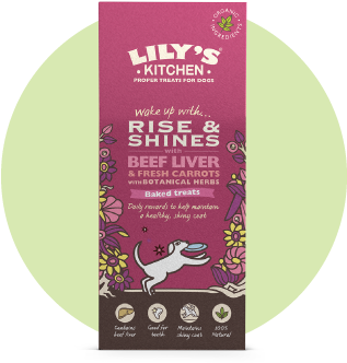 You Will Need - Lily's Kitchen Dog Treats (375x375), Png Download