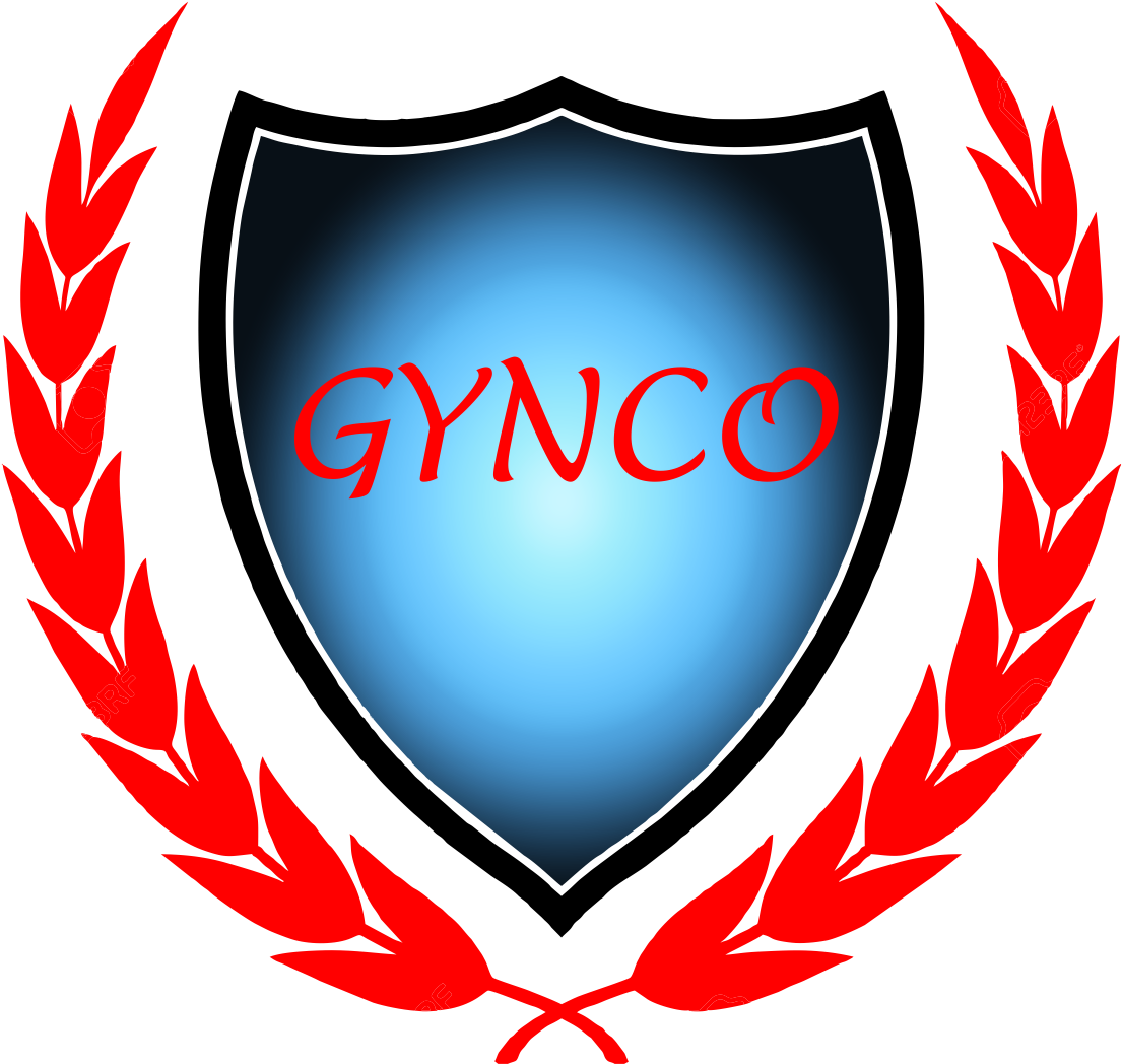 Download Gynco Avatar Phalen Leadership Academy Logo Full Size PNG