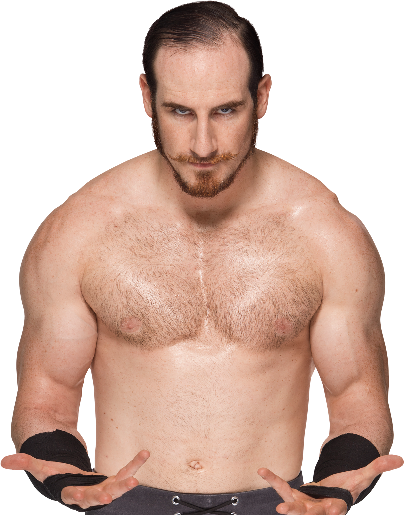 Aiden English - Wwe Aiden English Png (1000x707), Png Download