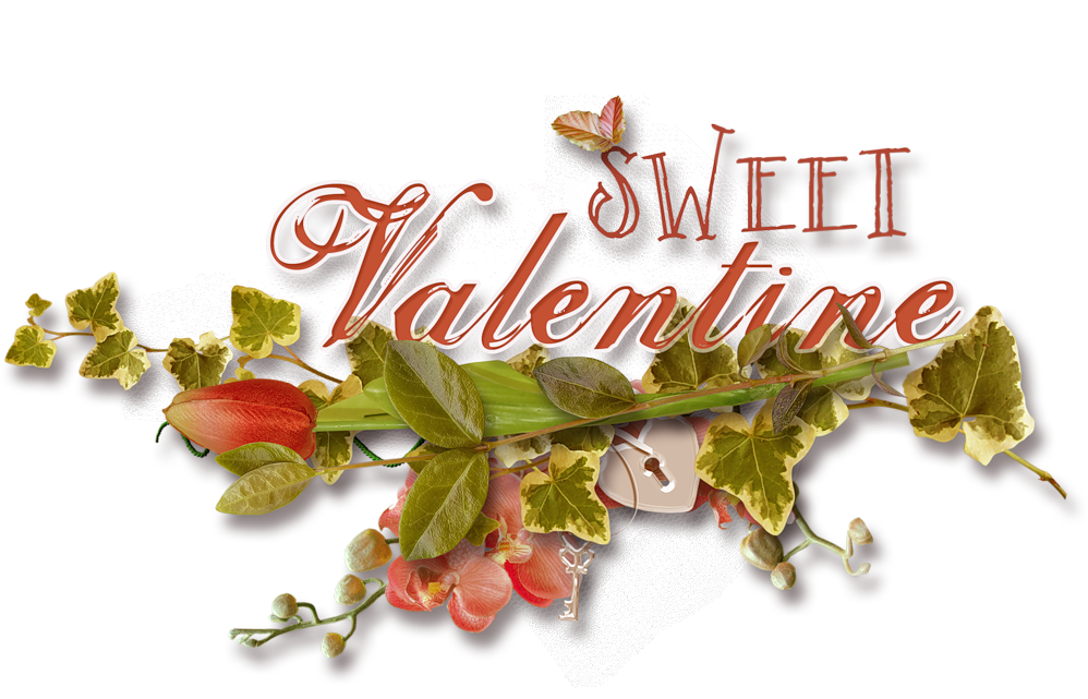 .net (1280x1280), Png Download