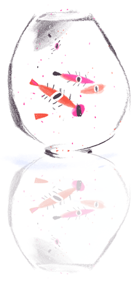 Insect (266x565), Png Download
