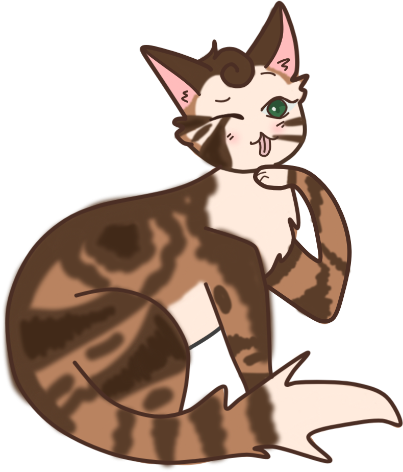 Magnoliaflower - Domestic Short-haired Cat (1230x960), Png Download