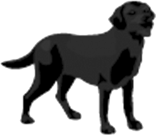"the Need To Understand Your Options Has Never Been - Black Dog Drawing Transparent (600x600), Png Download