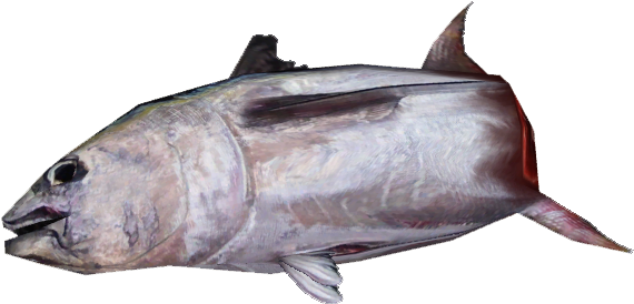 Whole Tuna 66 - Escolar (835x835), Png Download