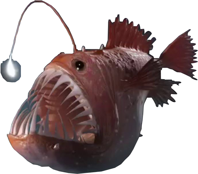 Angler Fish Png - Female Angler Fish Png (709x624), Png Download