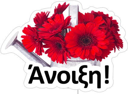 Transparent Png Sticker - Barberton Daisy (490x317), Png Download