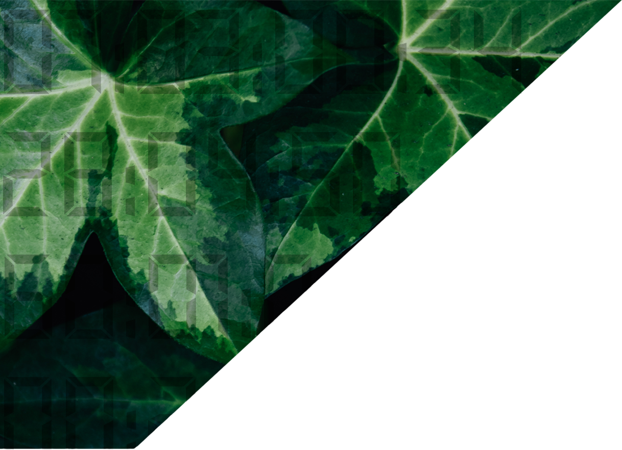 Bob Jones University (1218x882), Png Download