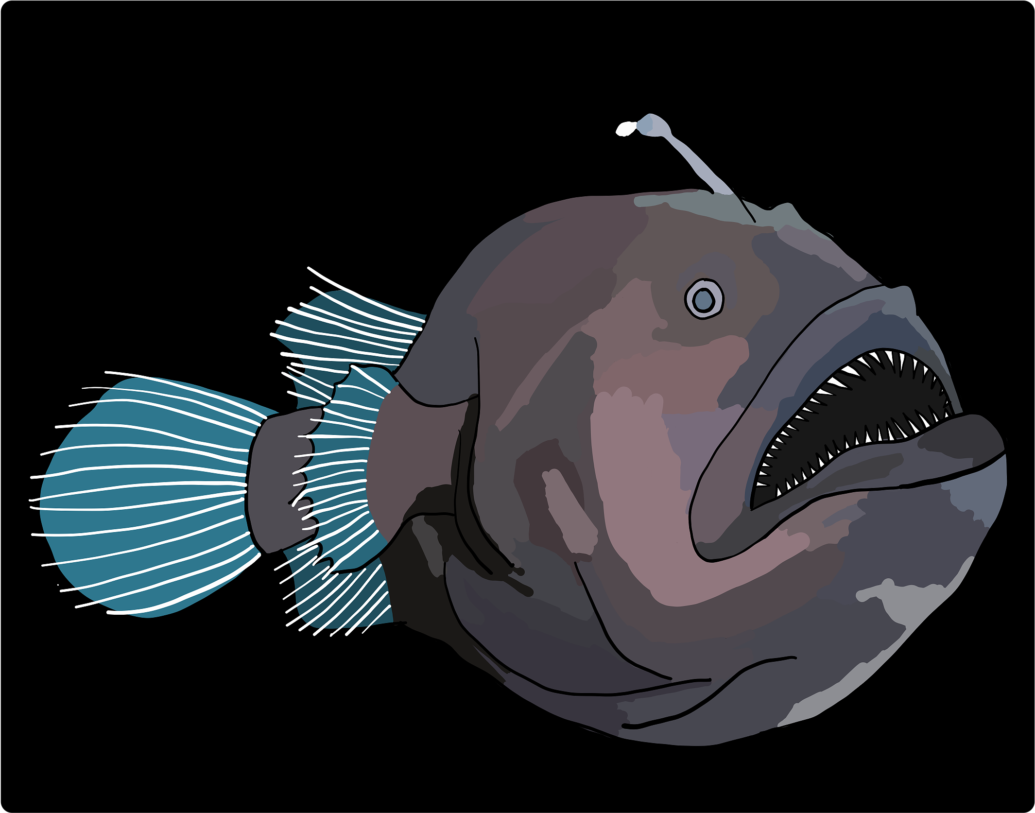 This Drawing Is Available In Matte Black On A Photo - Drawing (2732x2048), Png Download