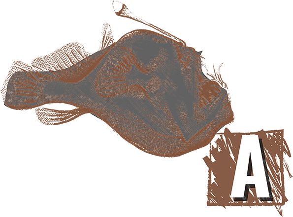 Anglerfish - Illustration (600x450), Png Download