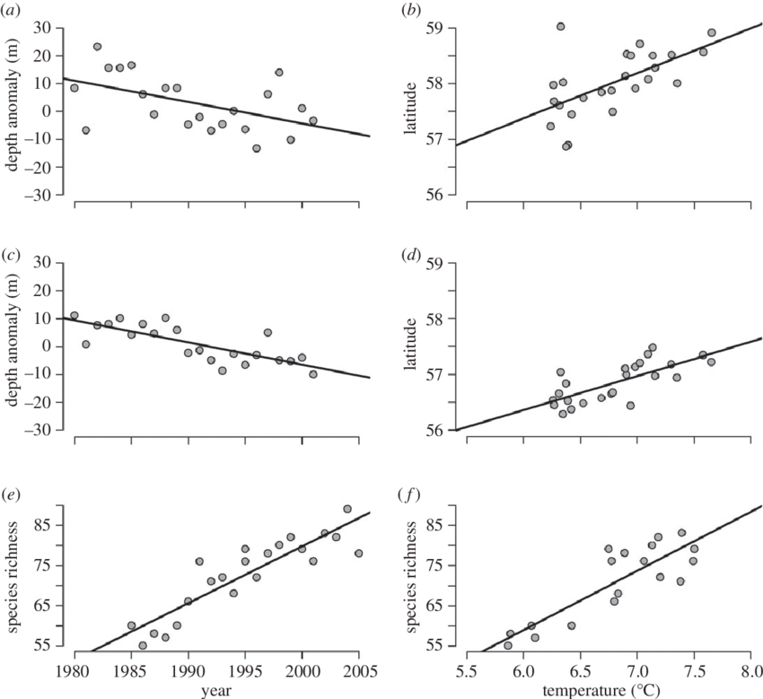 Change In Anglerfish Lophius Piscatorius Showing Greater - Anglerfish (850x779), Png Download