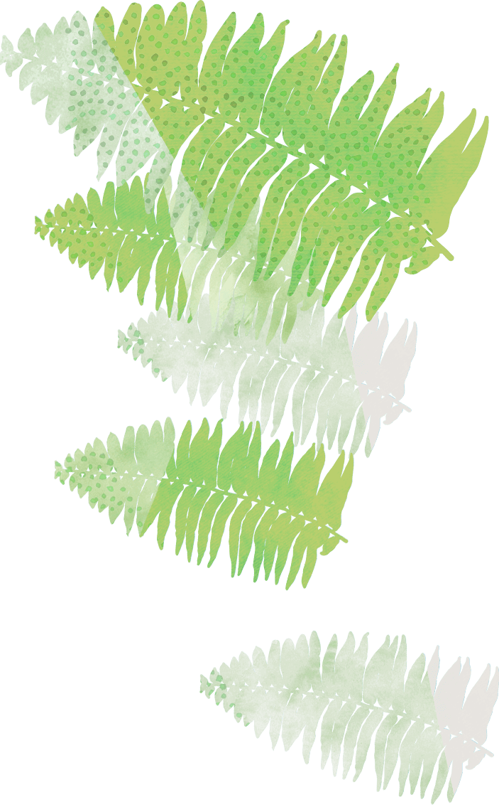 Leaf - Southeast Botanical Gardens (703x1135), Png Download