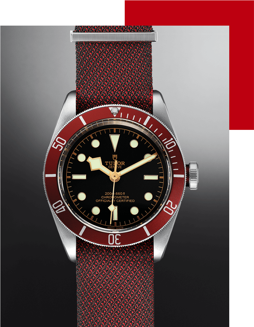 This 41-mm Automatic Timepiece Is The Interpretation - Tudor Black Bay Maroon (924x1084), Png Download